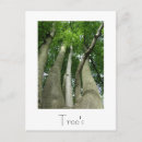 Search for tree design postcards Trees