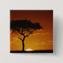 Search for thorn badges Kenya