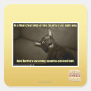 Search for sight stickers I can has cheezburger