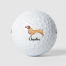 Search for dachshund golf balls Puppy