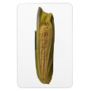 Search for corn magnets Vegetable