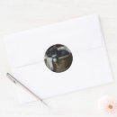 Search for cozy stickers Pet