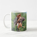 Search for harris hawk mugs Falconry