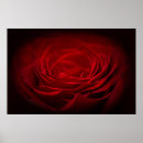 Search for blood rose art Red