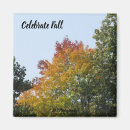 Search for falls magnets Yellow