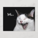 Search for yawn postcards Kitty
