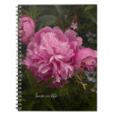 Search for mist flower Floral