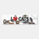 Search for i love cats bumper stickers Feline