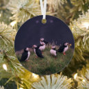 Search for puffin christmas tree decorations Wildlife