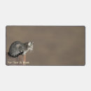 Search for gray cat electronics For her
