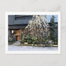 Search for restaurant city Architecture