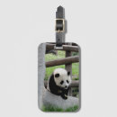 Search for china travel accessories Animal