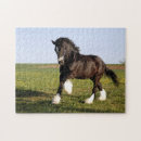 Search for clydesdale horses puzzles Equine