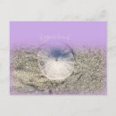 Search for purple shell postcards Sand dollar