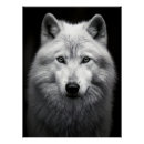 Search for arctic wolf art Wilderness
