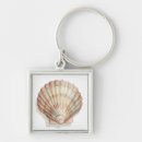Search for seashell key rings Shells