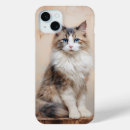 Search for ragdoll cat iphone cases Cute