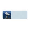 Search for pacific return address labels Nature