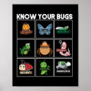 Search for data science posters Coding