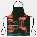 Search for reflections aprons Water