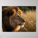 Search for beautiful lion art Majestic