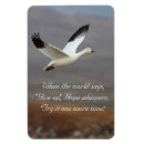 Search for give up magnets Courage