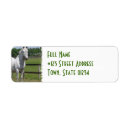 Search for arabian horse return address labels Horses