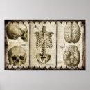 Search for gothic heart posters Horror