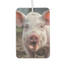 Search for pig car air fresheners Funny