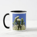 Search for sonora mugs Plant