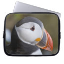 Search for ie cases Black