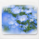 Search for in baby blue electronics Flower