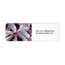 Search for pink lilies return address labels Blossom