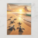 Search for beach baby postcards Sea