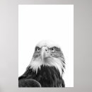 Search for bald posters Portrait