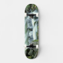 Search for forest skateboards River