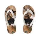 Search for cat face shoes Funny