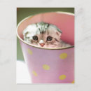 Search for beijing postcards Square