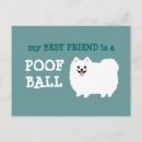 Search for fluffy white postcards Pets