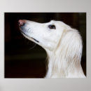 Search for saluki art Animals