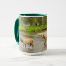 Search for rocky mountain elk mugs Cathy