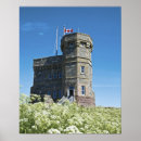 Search for newfoundland posters Flower