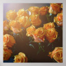 Search for rose macro posters Photography