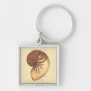 Search for conch key rings Ocean