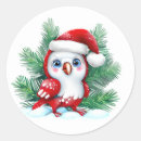 Search for cute parrot stickers Beauty