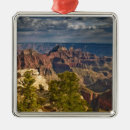 Search for grand canyon national park christmas tree decorations Scenic
