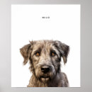 Search for irish wolfhound art Puppy
