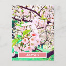 Search for beautiful blossom postcards Kyoto