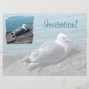 Search for gull invitations Sea gulls