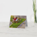 Search for teddy note cards Bear